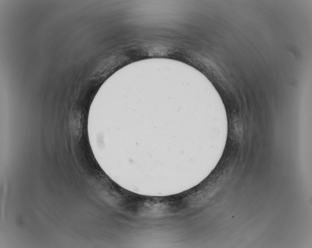 X0000111350311200908071138