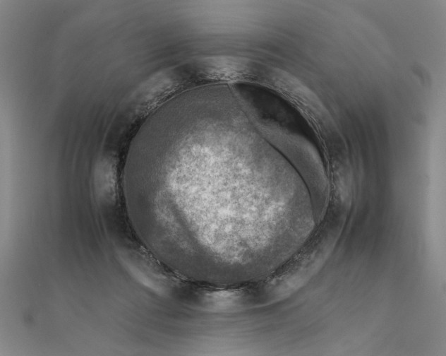 X0000111350312200908071138