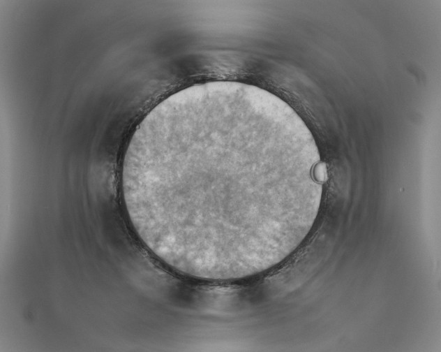 X0000111350313200908071138