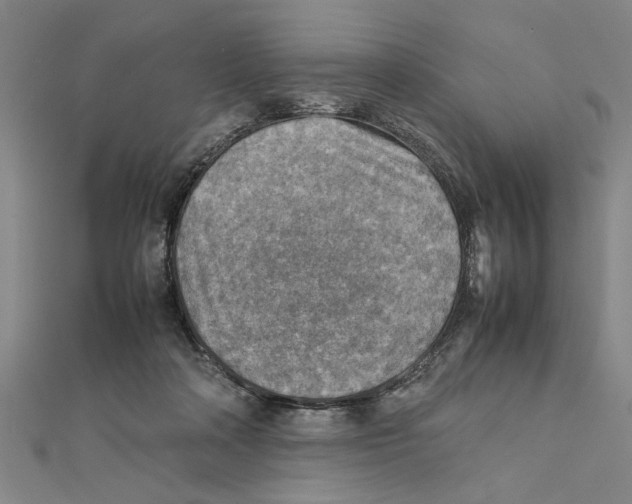 X0000111350314200908071138