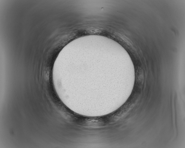 X0000111350315200908071138
