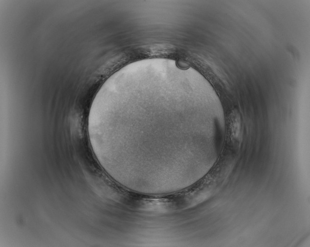 X0000111350316200908071138