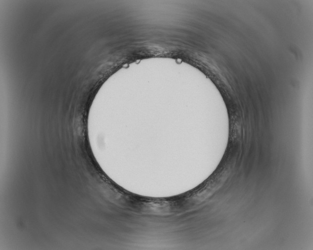 X0000111350317200908071138