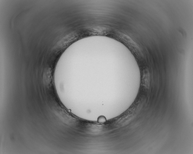X0000111350318200908071138
