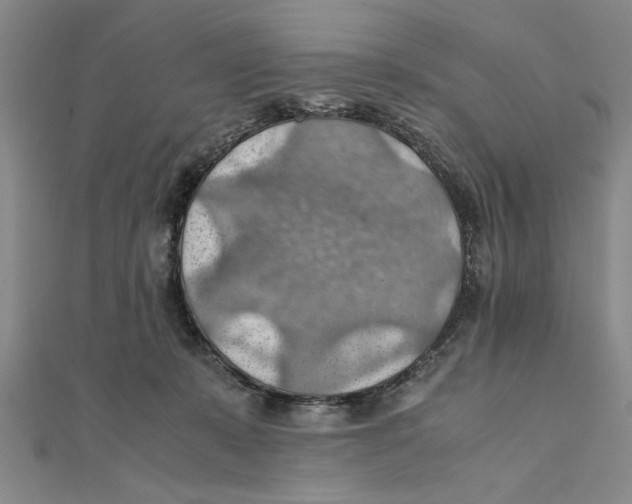 X0000111350319200908071138