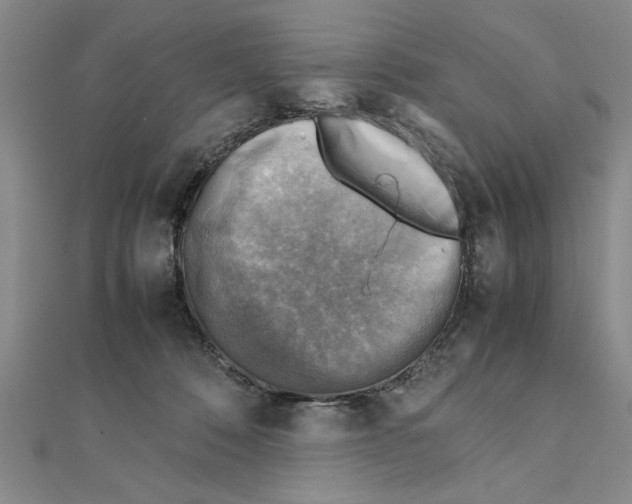 X0000111350320200908071138