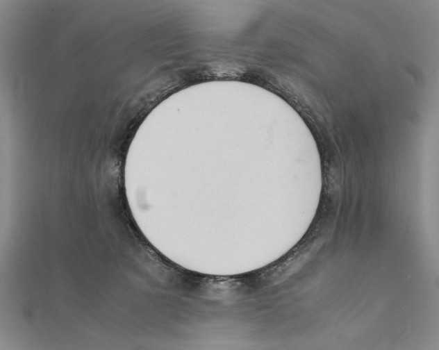 X0000111350321200908071138