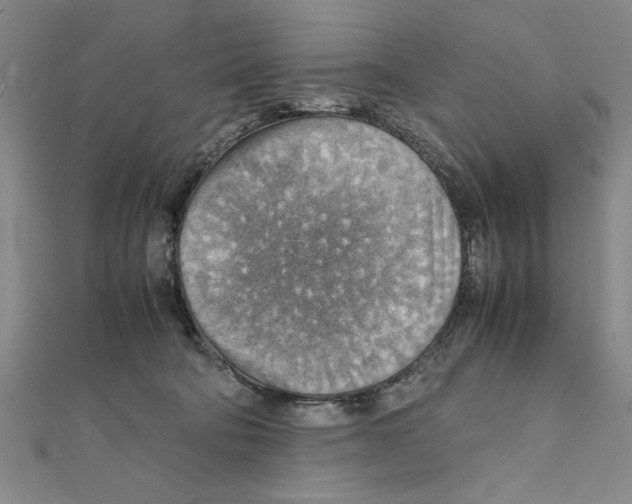X0000111350322200908071138