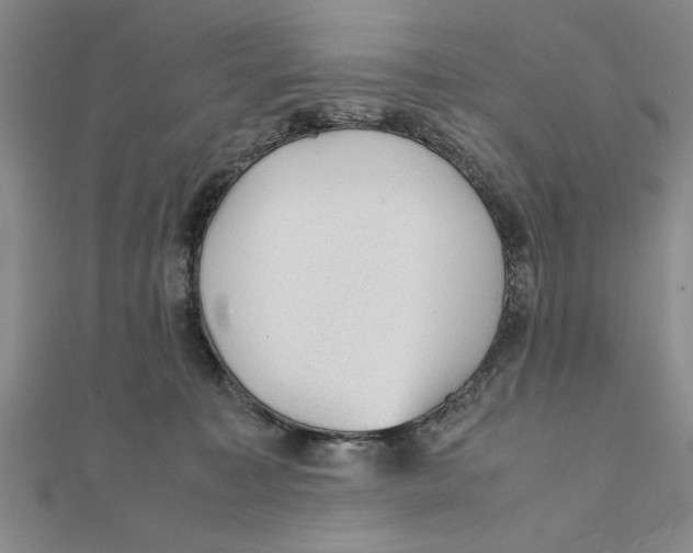 X0000111350323200908071138