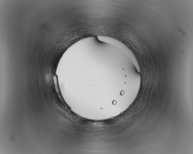X0000111350324200908071138