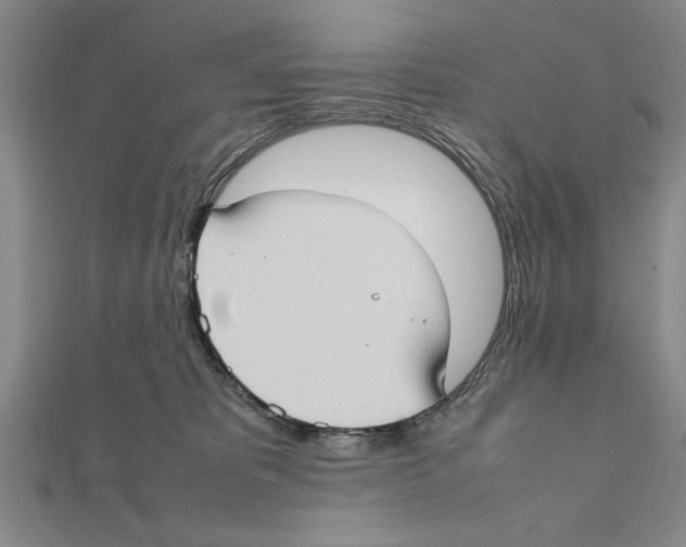 X0000111350325200908071138