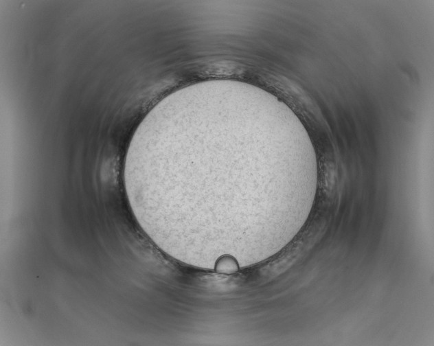 X0000111350326200908071138