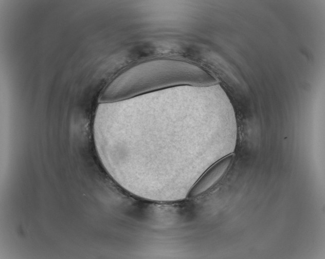X0000111350327200908071138
