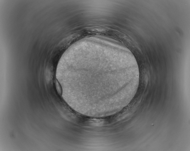 X0000111350328200908071138