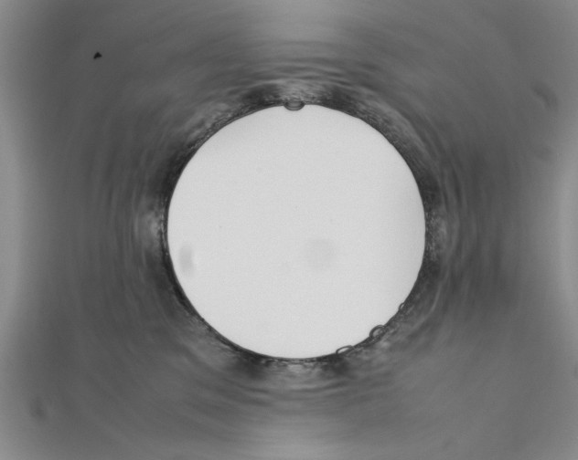 X0000111350329200908071138