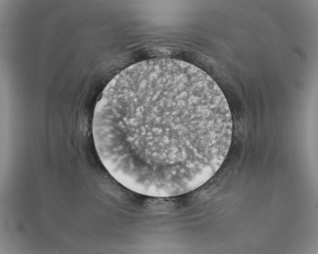 X0000111350331200908071138
