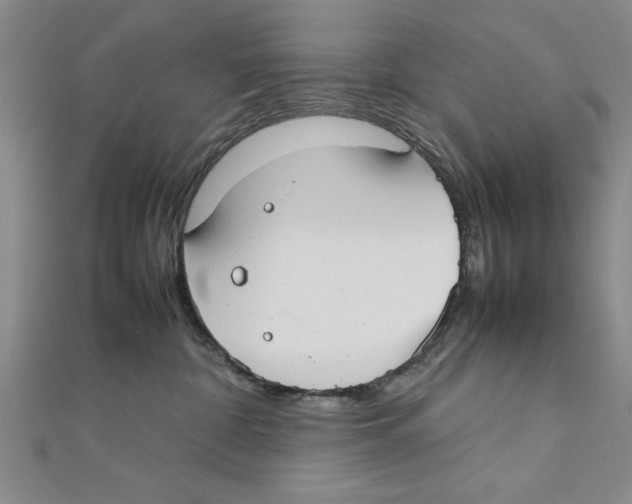 X0000111350332200908071138