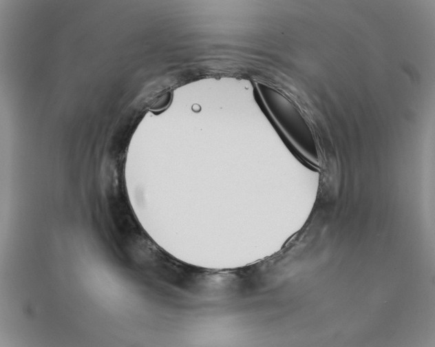 X0000111350333200908071138