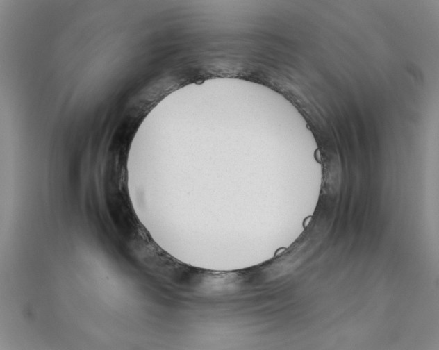 X0000111350334200908071138