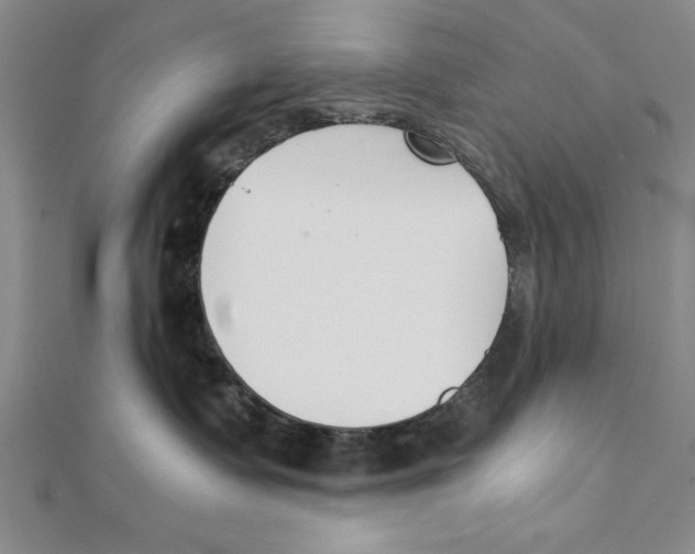 X0000111350335200908071138