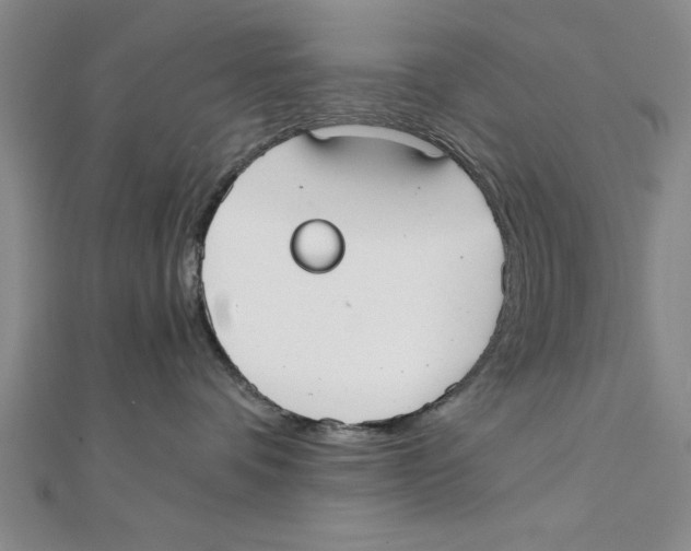 X0000111350336200908071138