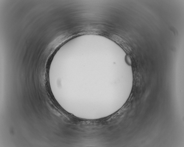 X0000111350338200908071137
