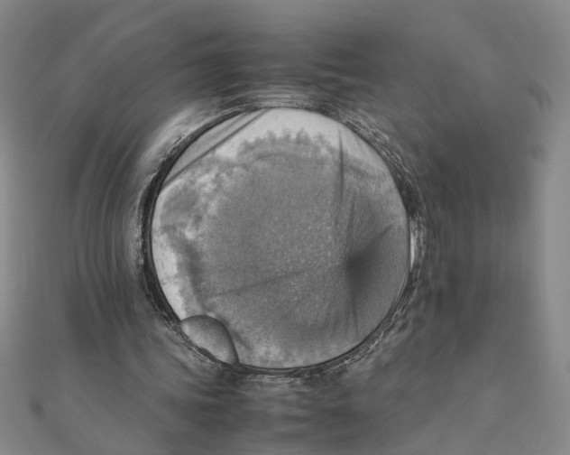 X0000111350339200908071137