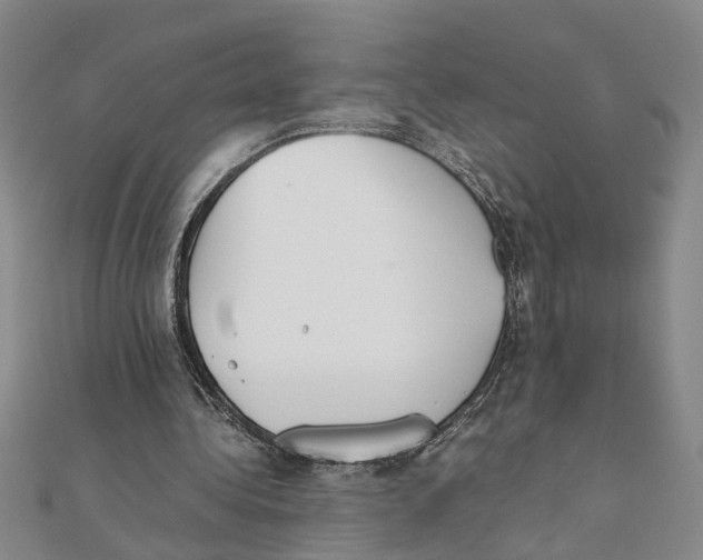 X0000111350340200908071137