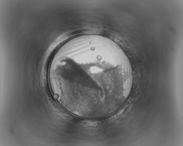 X0000111350343200908071137