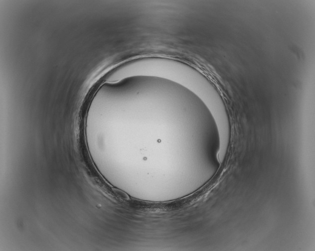 X0000111350344200908071137