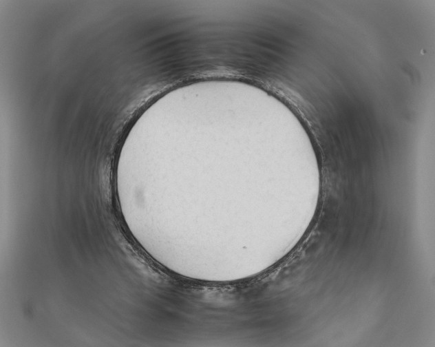 X0000111350345200908071137