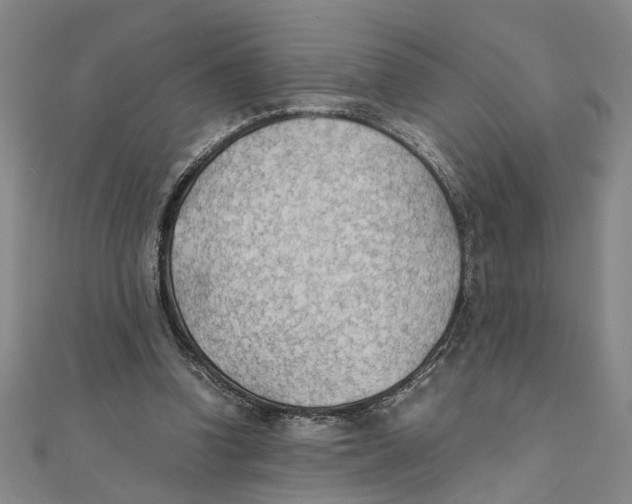 X0000111350346200908071137