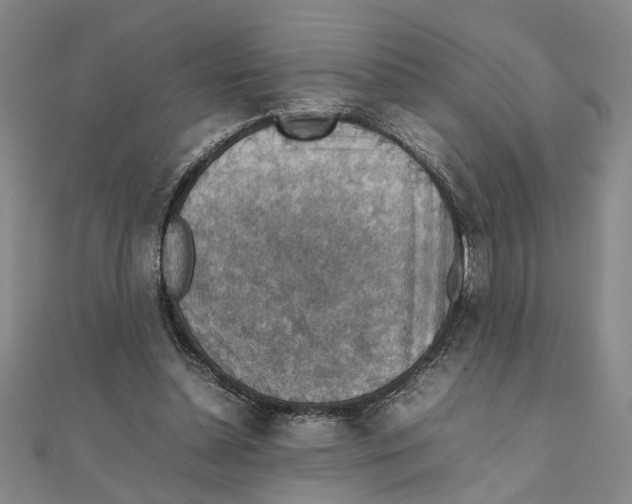 X0000111350348200908071137