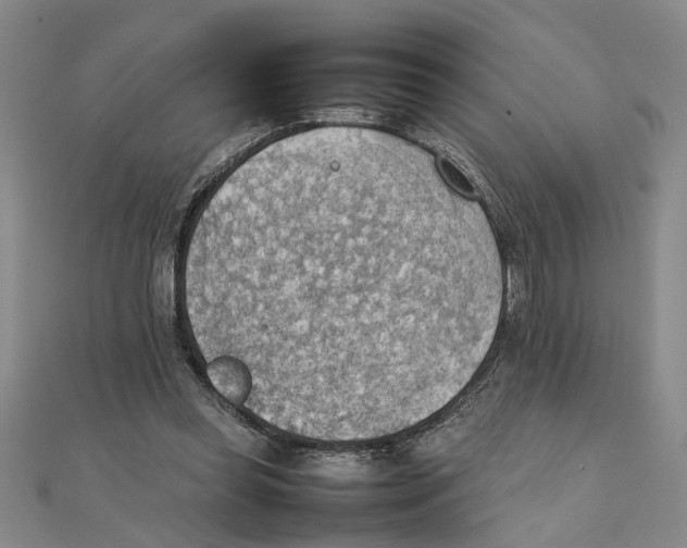 X0000111350349200908071137