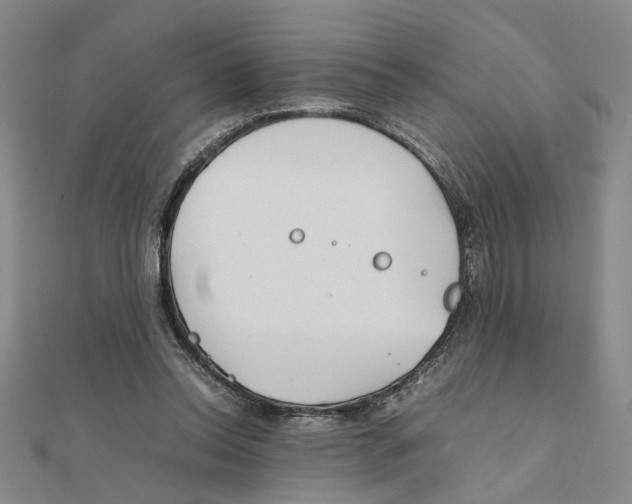 X0000111350350200908071137