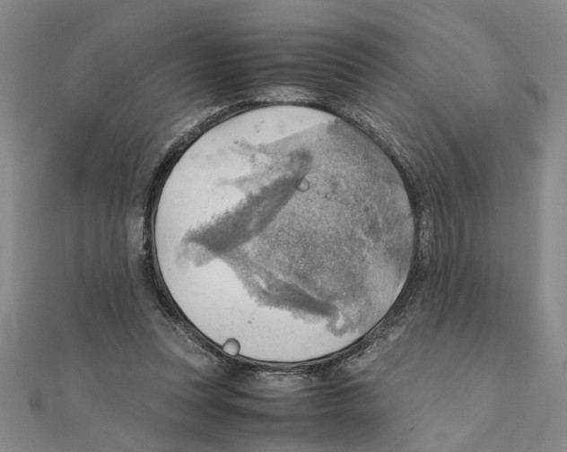 X0000111350351200908071137