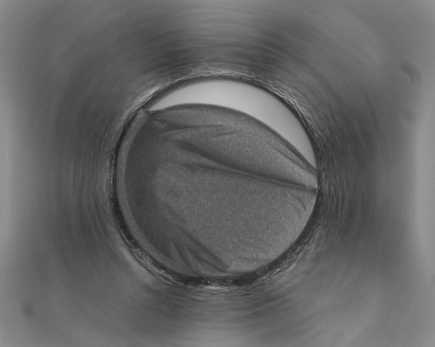 X0000111350352200908071137