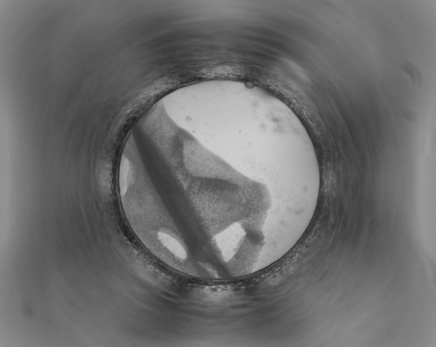 X0000111350353200908071137