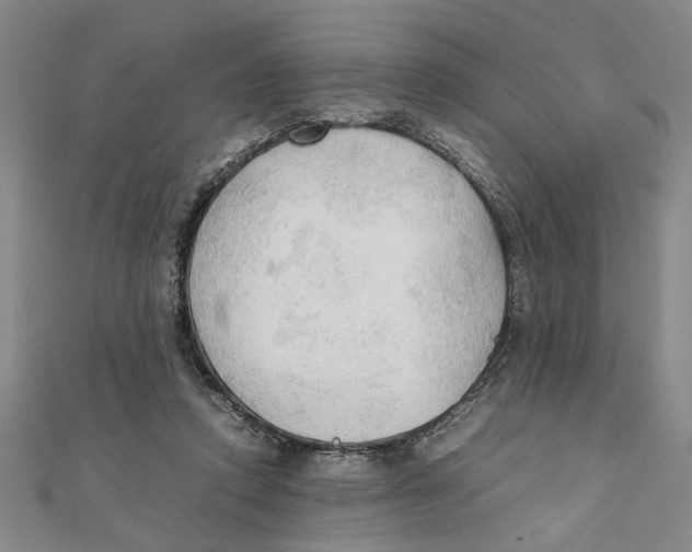 X0000111350354200908071138