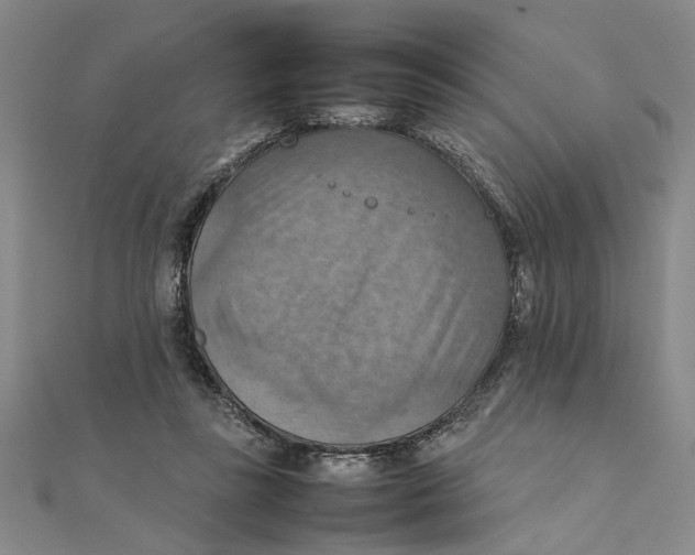 X0000111350355200908071138