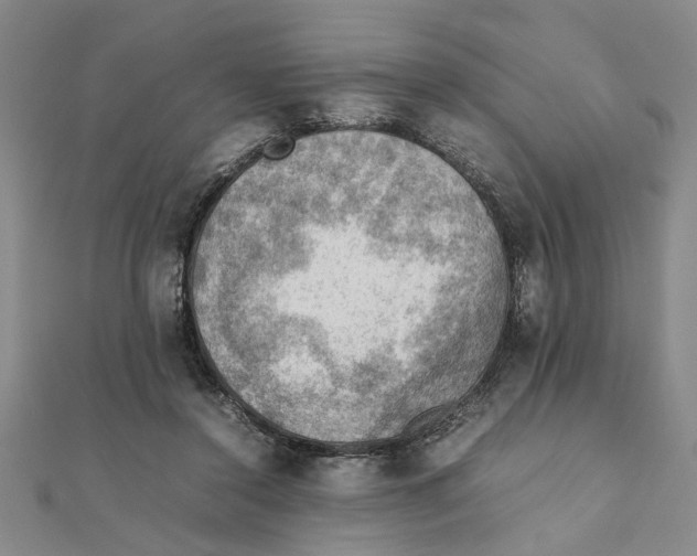 X0000111350356200908071138