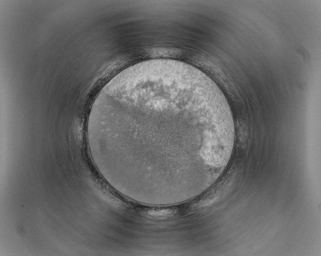 X0000111350357200908071138
