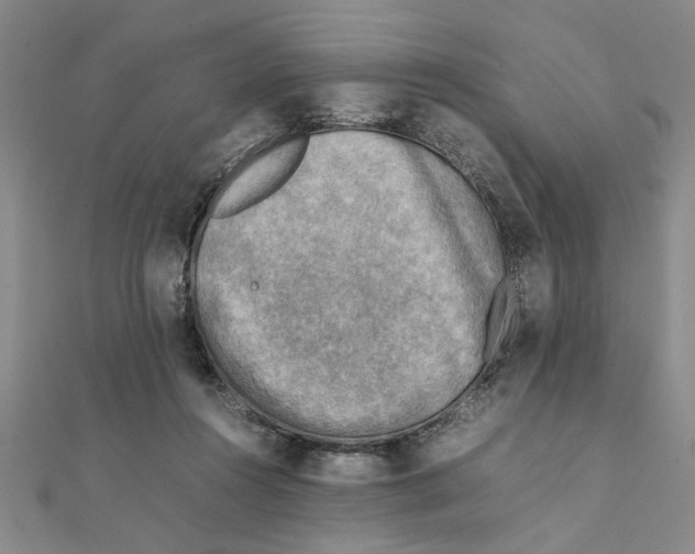 X0000111350360200908071138