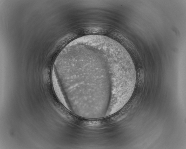 X0000111350361200908071138