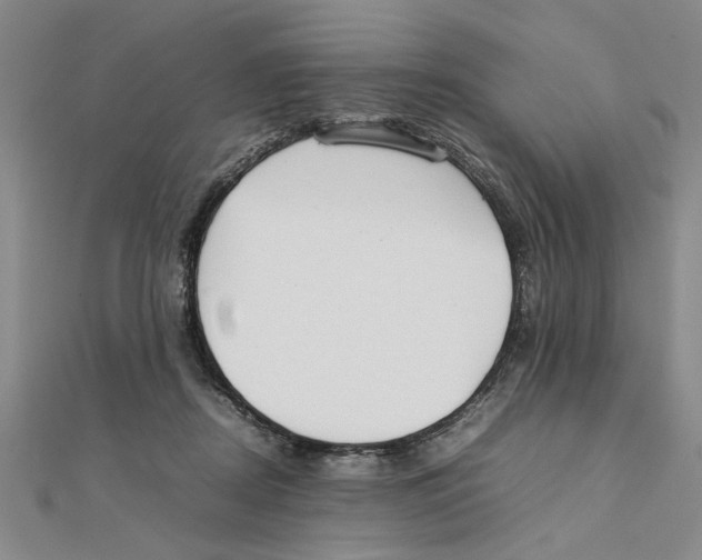 X0000111350362200908071138