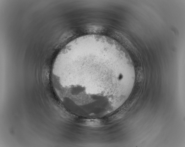 X0000111350363200908071138
