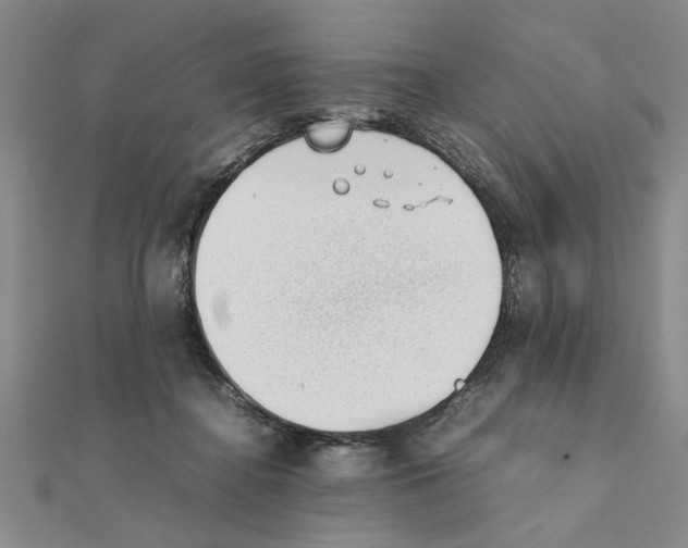 X0000111350364200908071138