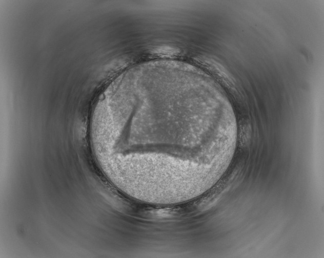 X0000111350365200908071138