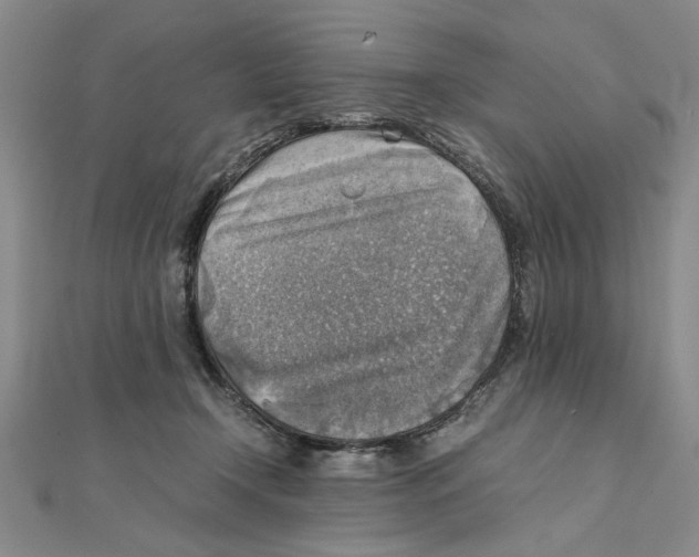 X0000111350366200908071138