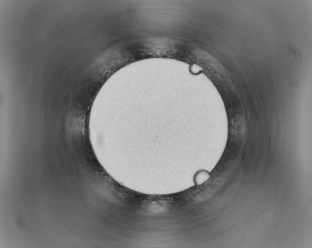 X0000111350368200908071138